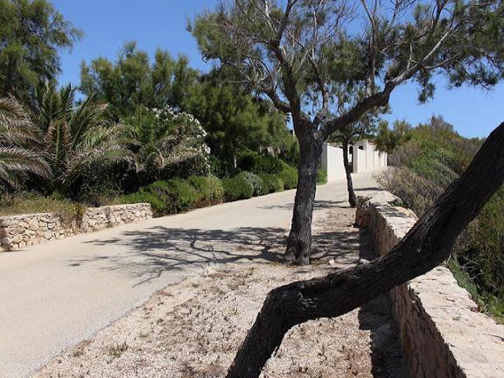 183 D33 ILE DE BENDOR_000055.jpg